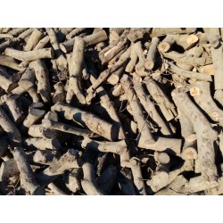 OLIVE TREE BRANCH FIREWOOD
